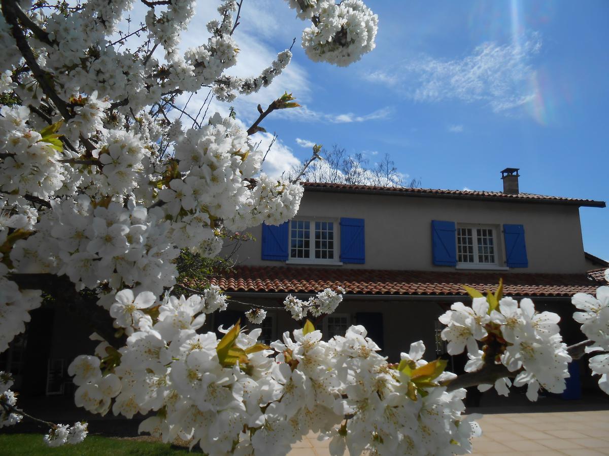 Le Relais Du Grand Logis Bed & Breakfast Civrieux Exterior foto